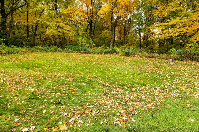 view of yard with a wooded view