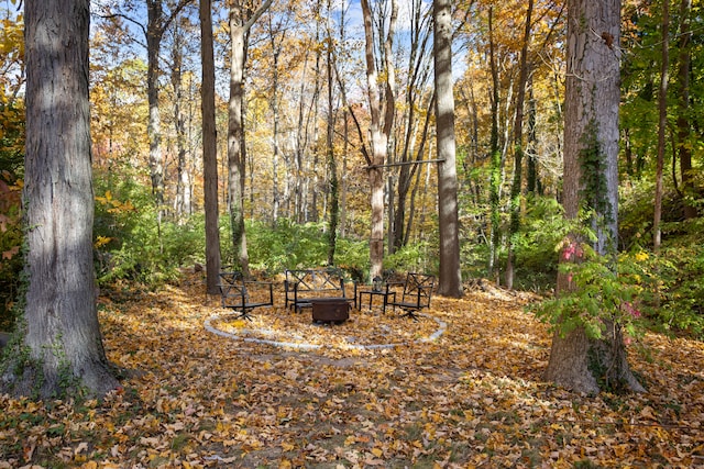 view of yard featuring an outdoor fire pit