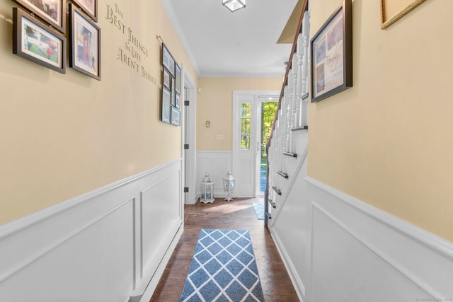 hallway featuring crown molding and dark wood-type flooring