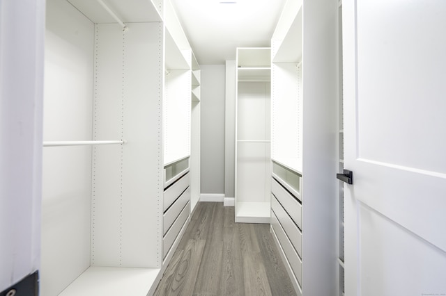 walk in closet with light hardwood / wood-style flooring