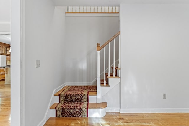 staircase with hardwood / wood-style flooring