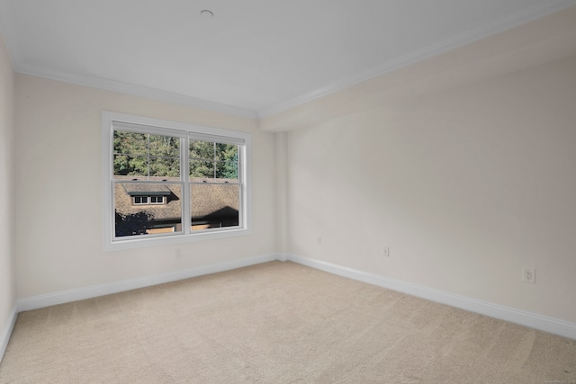 carpeted empty room with crown molding