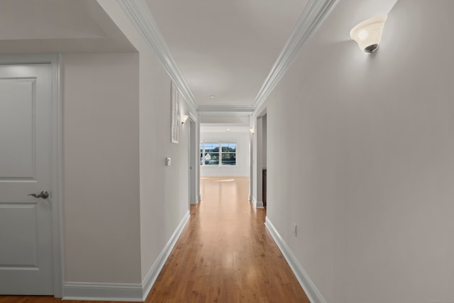 hall featuring light hardwood / wood-style floors and crown molding