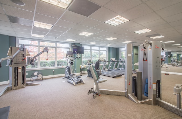 gym with a paneled ceiling and carpet flooring