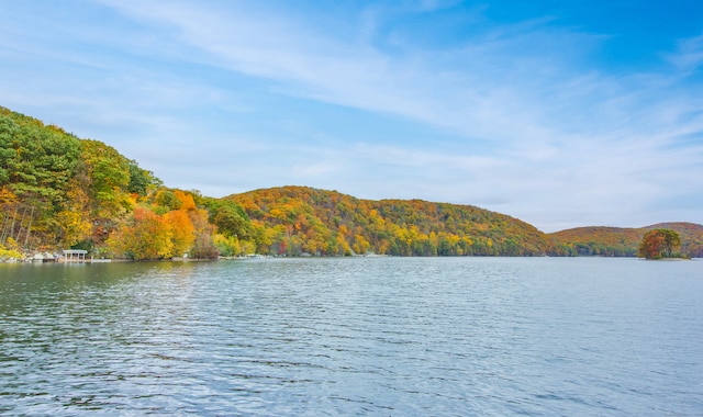 water view featuring a mountain view