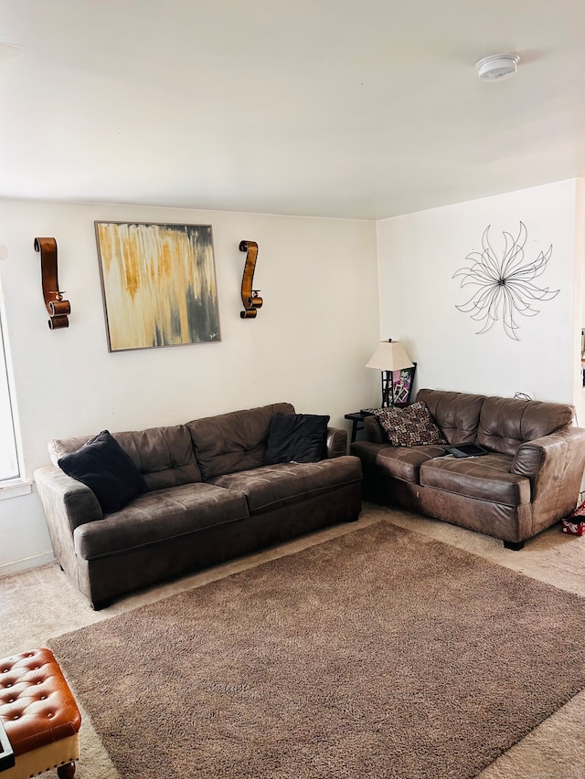 living room with carpet flooring