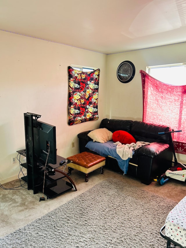 bedroom with carpet flooring