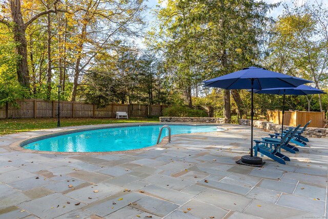 view of pool with a patio