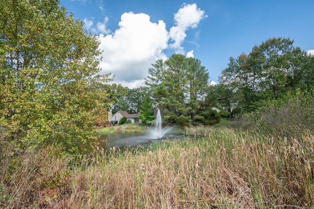 view of local wilderness featuring a water view