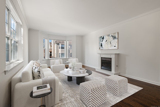 living room featuring crown molding and hardwood / wood-style flooring