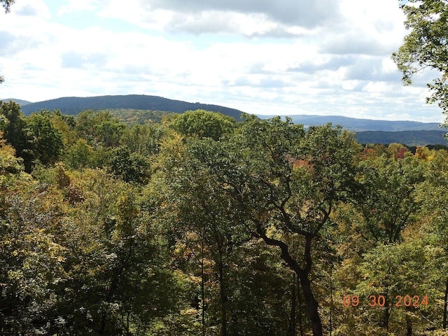 8 Tokone Hills Rd, Salisbury, CT 06039 - photo 10