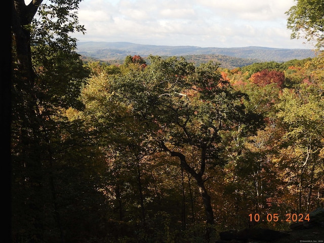 view of mountain feature