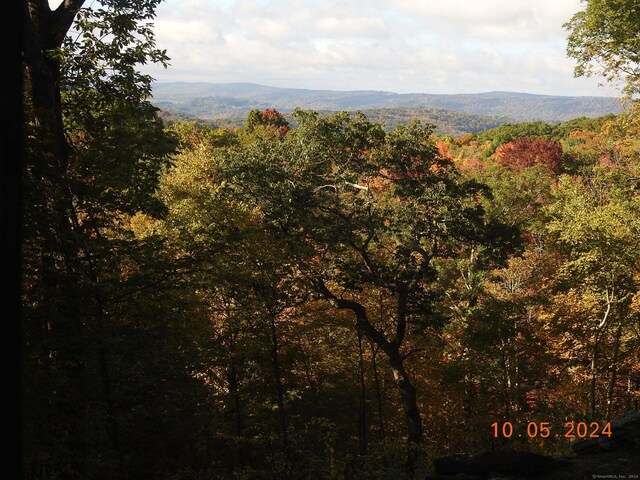 8 Tokone Hills Rd, Salisbury, CT 06039 - photo 11