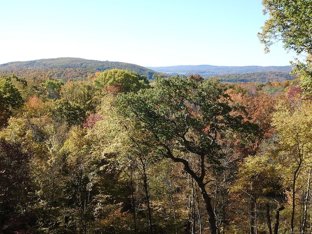 property view of mountains