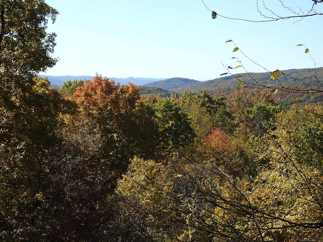 property view of mountains