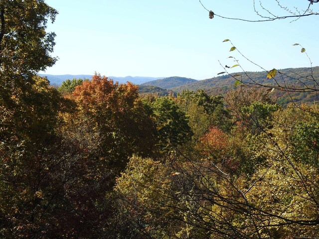 8 Tokone Hills Rd, Salisbury, CT 06039 - photo 20