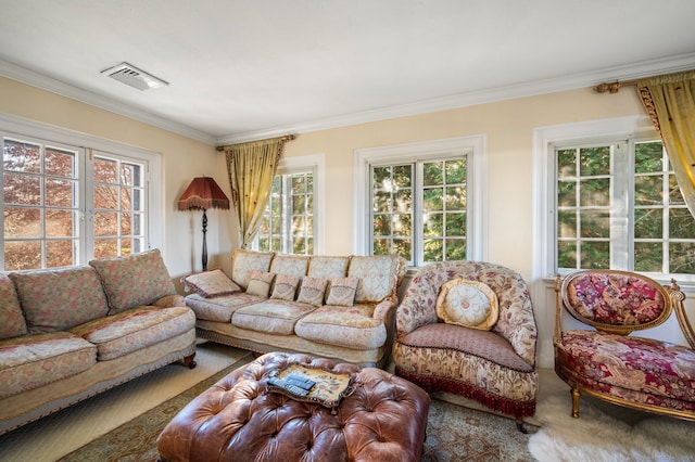 carpeted living room with ornamental molding and a wealth of natural light