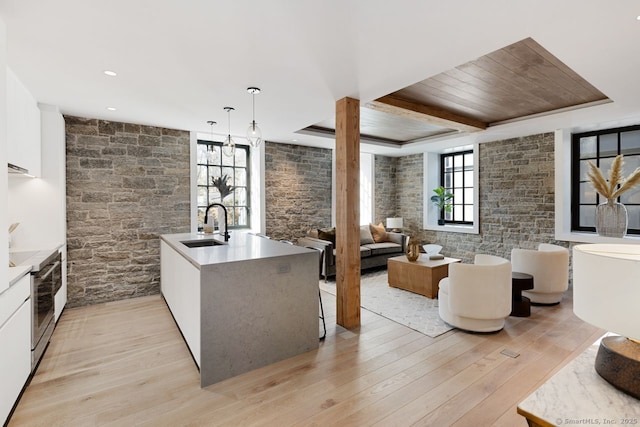 41 Richmondville Ave Unit 109, Westport, CT 06880 - kitchen with light wood-type flooring, modern cabinets, white cabinetry, and a sink