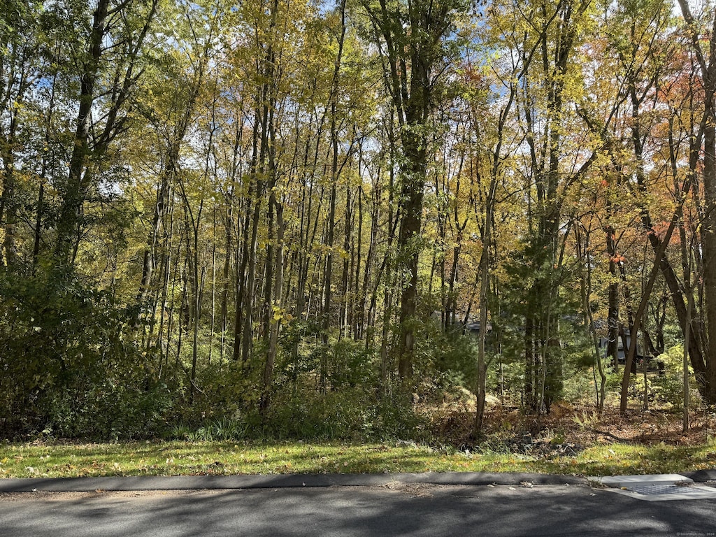 Wells Rd, East Windsor, CT 06088