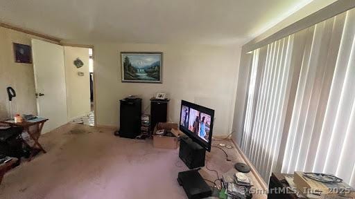 view of carpeted living area