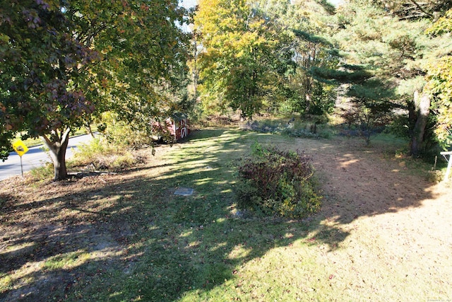 1543 Litchfield Rd, Watertown, CT 06795 - photo 7