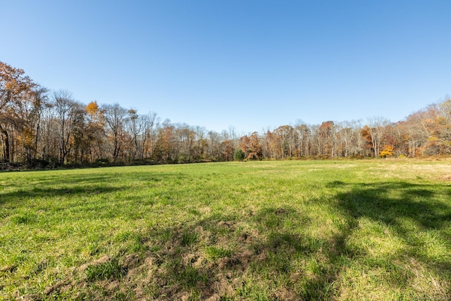 view of yard featuring a rural view