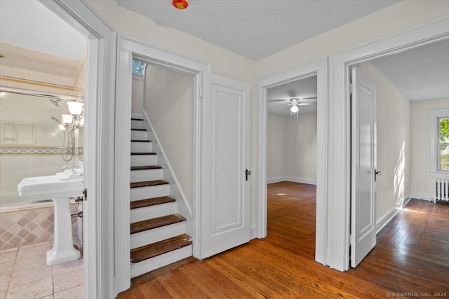 stairway featuring radiator, ceiling fan, and hardwood / wood-style floors