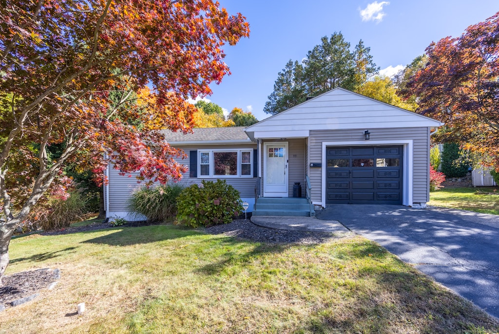 view of front facade with a front lawn and a garage