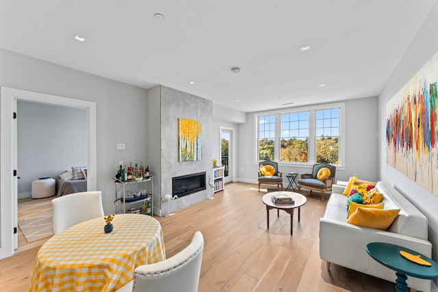 living room with a premium fireplace and light hardwood / wood-style flooring