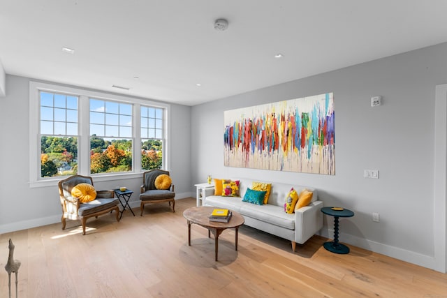 living room featuring light hardwood / wood-style flooring