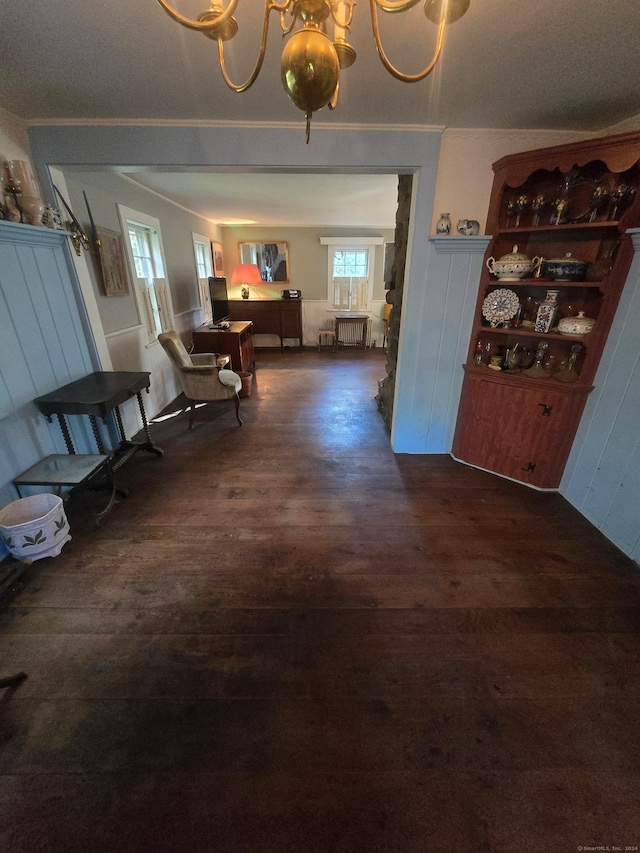 dining area with radiator heating unit and dark hardwood / wood-style floors