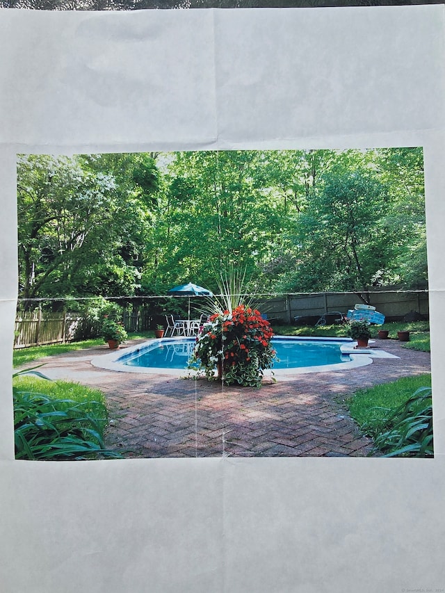 view of swimming pool featuring a patio