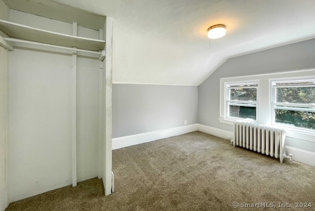 additional living space with radiator heating unit, carpet, and vaulted ceiling