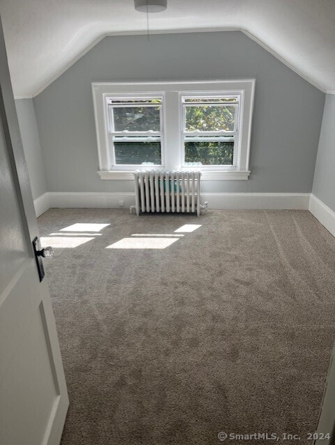 additional living space featuring radiator, carpet, and vaulted ceiling