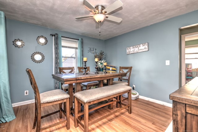 dining space with light hardwood / wood-style floors and ceiling fan