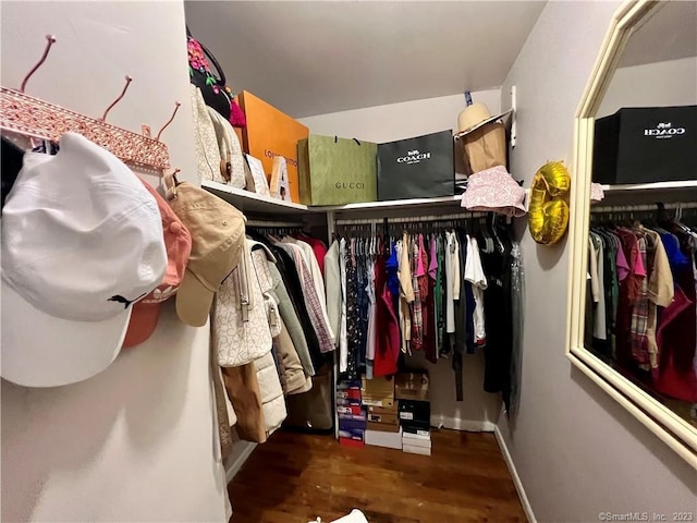 spacious closet with dark hardwood / wood-style flooring