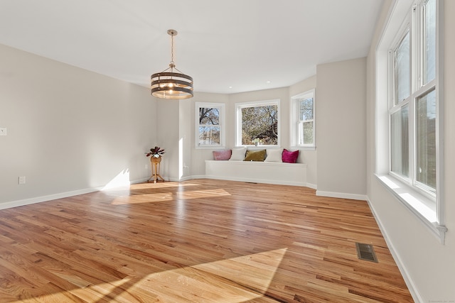 spare room with light hardwood / wood-style floors and a wealth of natural light