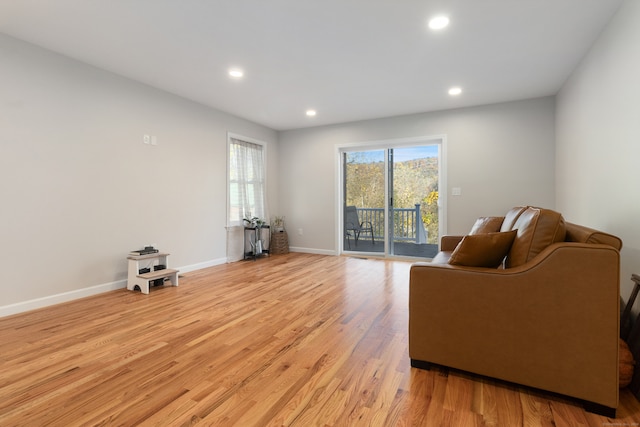 living room featuring light wood-type flooring