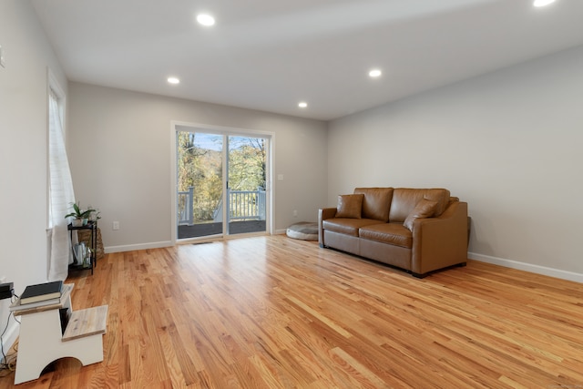 living room featuring light hardwood / wood-style flooring