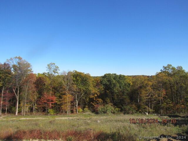 view of landscape featuring a wooded view
