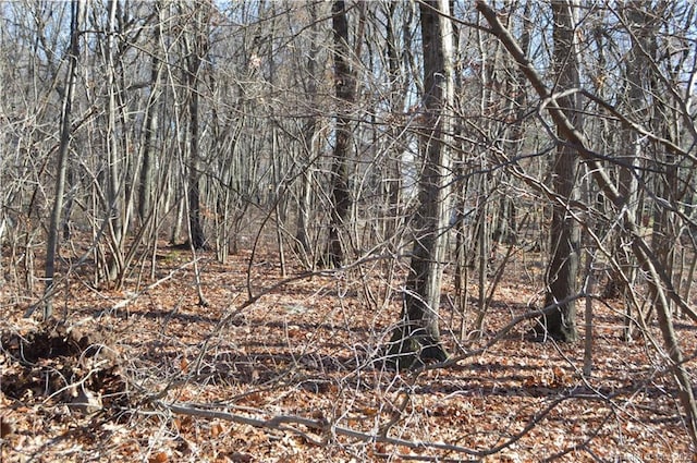 Arvida Rd, Wolcott, CT 06716