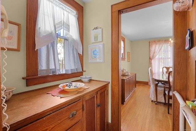 interior space with vanity and wood-type flooring