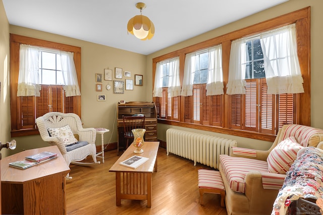 living area featuring light hardwood / wood-style flooring, radiator heating unit, and plenty of natural light