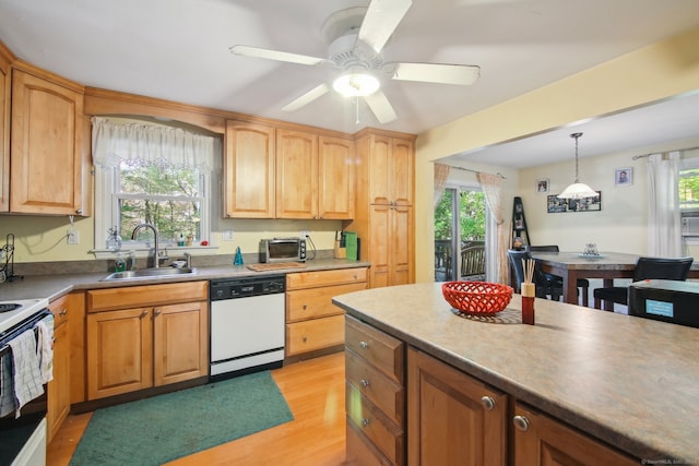 kitchen featuring white appliances, sink, light wood-type flooring, ceiling fan, and pendant lighting