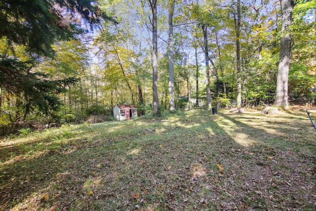 view of yard featuring a shed