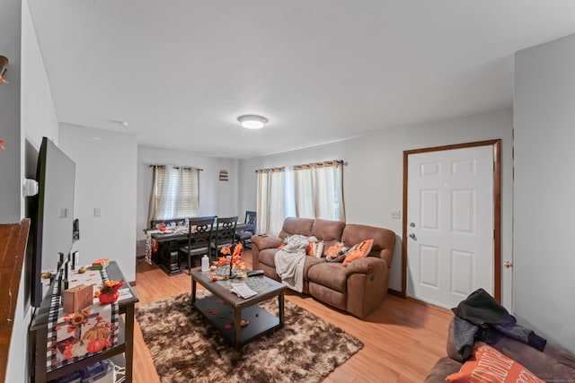 living room featuring hardwood / wood-style floors