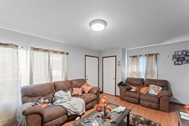 living room with hardwood / wood-style floors