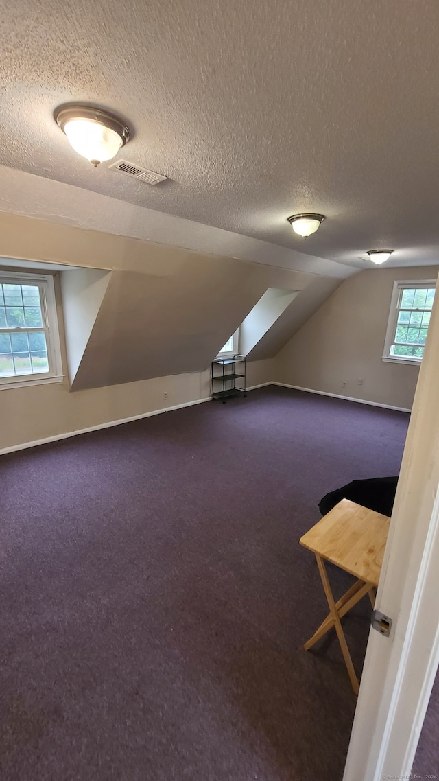 additional living space with dark carpet, lofted ceiling, a textured ceiling, and plenty of natural light