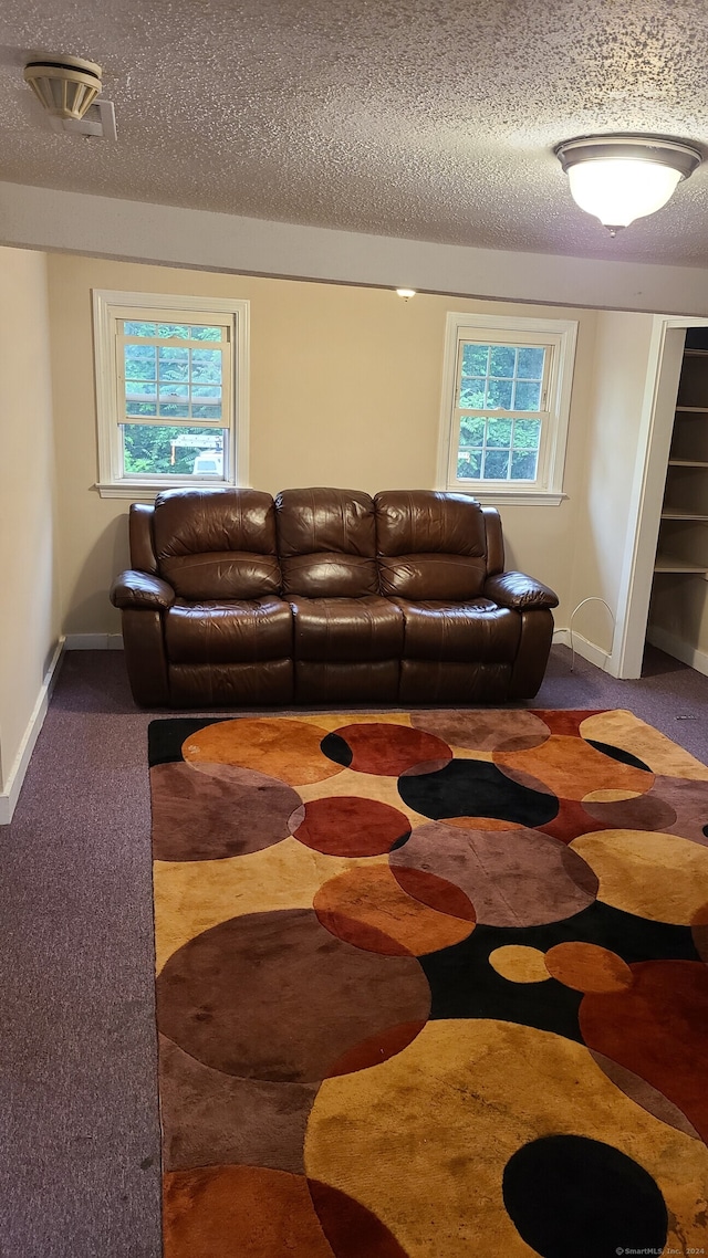 carpeted living room featuring a textured ceiling