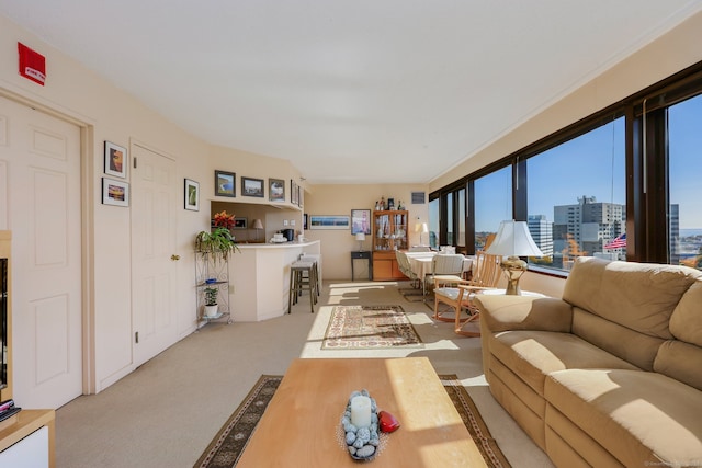 view of carpeted living room